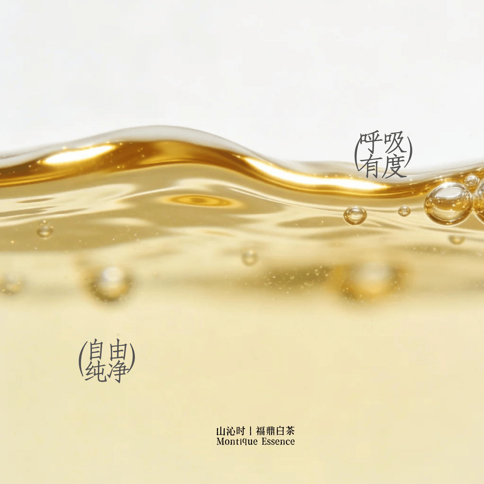 茶汤特写