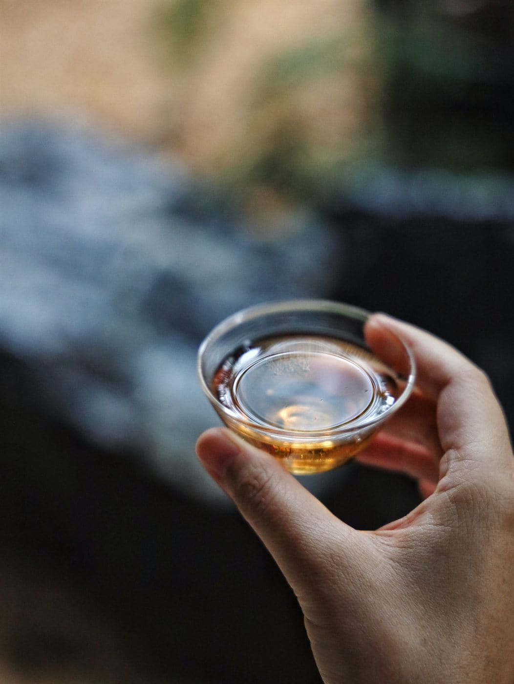 茶汤特写